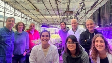 VINCULACIÓN TECNOLÓGICA. Innovación en el agro: equipo del CONICET desarrolló una línea de soja con potencial para incrementar el rinde del cultivo